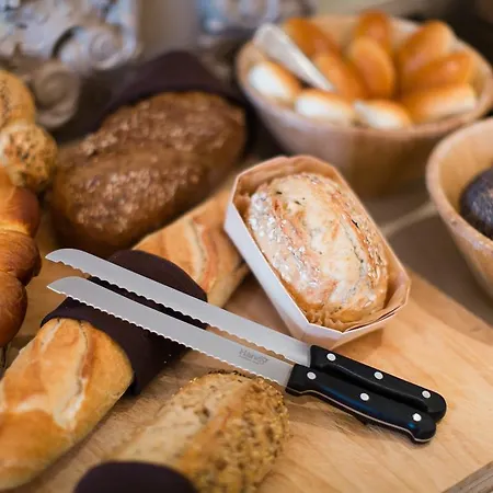 De Flandre 4* Gandawa