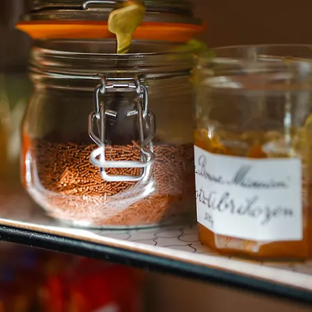 De Flandre Готель Гент